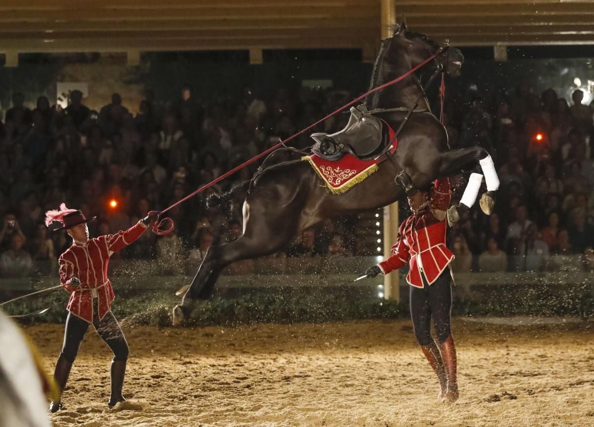 Calbalcor abre sus puertas