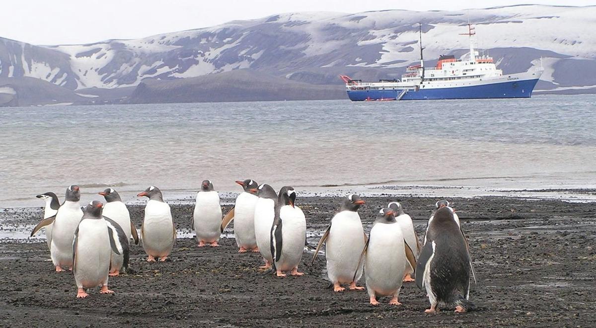 La mayor expedición española a la Antártida cumple 20 años.
