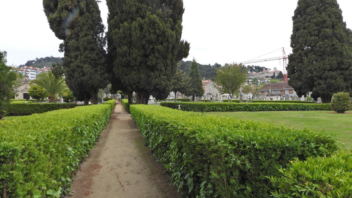 Uno de los caminos de acceso a la zona de enterramiento en San Francisco.