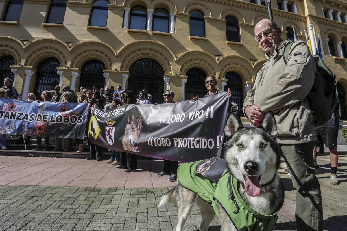 Protesta en Oviedo contra la retirada de la protección al lobo, en abril de 2025.