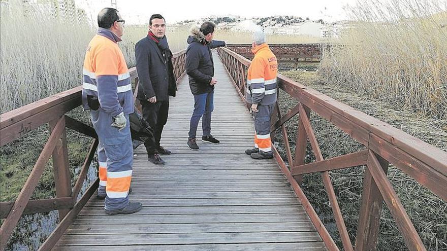 Denuncian más vandalismo en la zona húmeda de Peñíscola