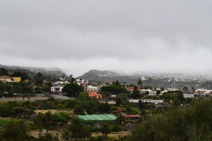 25/06/2019 SANTA BRÍGIDA. Clima en Santa Brígida.    Fotógrafa: YAIZA SOCORRO.  | 25/06/2019 | Fotógrafo: Yaiza Socorro