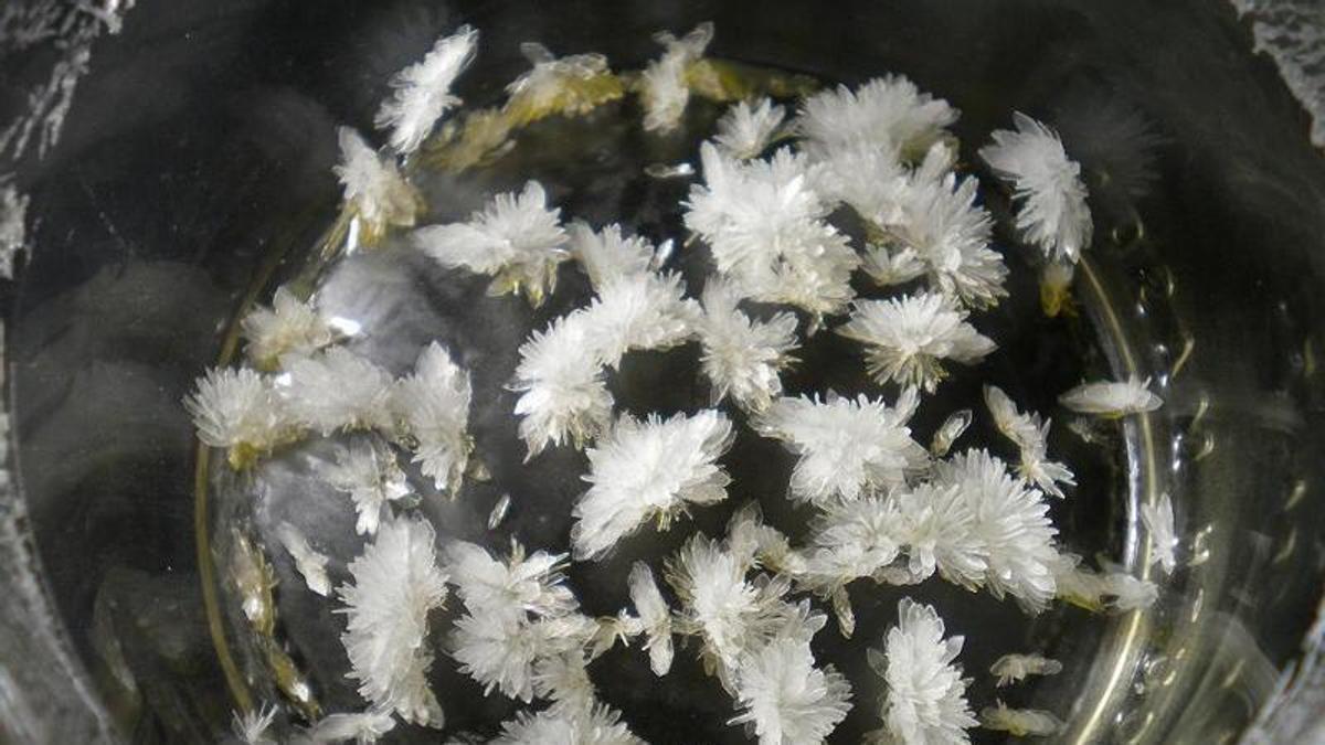 Cristalls de dimetiltriptamina, un psicodèlic, en una imatge d’arxiu