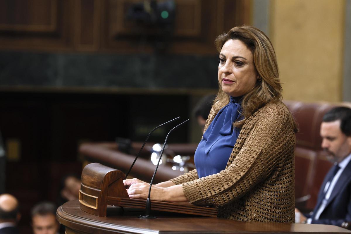 La diputada del Grupo Mixto Cristina Valido durante el pleno del Congreso