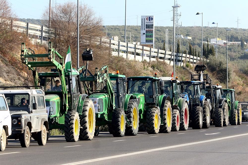 Los agricultores cortan la A-45