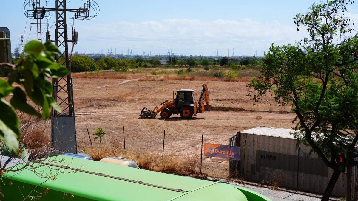 Arrancan las obras del Censal Parc en Castelló. Lo que podrás ver en este bosque urbano en junio de 2027