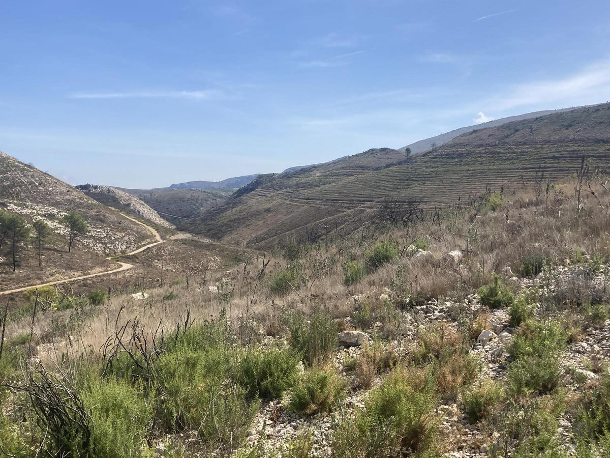 Una vista del entorno del puerto de Tollós, el cual antes del incendio presentaba una formación boscosa importante