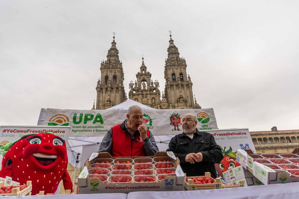 Reparten fresas de Huelva en la plaza del Obradoiro para promover su "calidad y garantía"