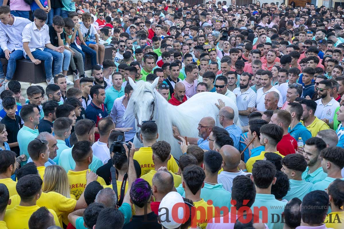 Entrega de premios del concurso morfológico de los Caballos del Vino de Caravaca