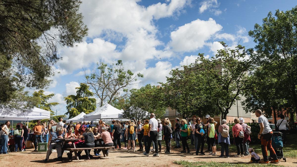 Jornada festiva amb més de 450 participants, Igualada