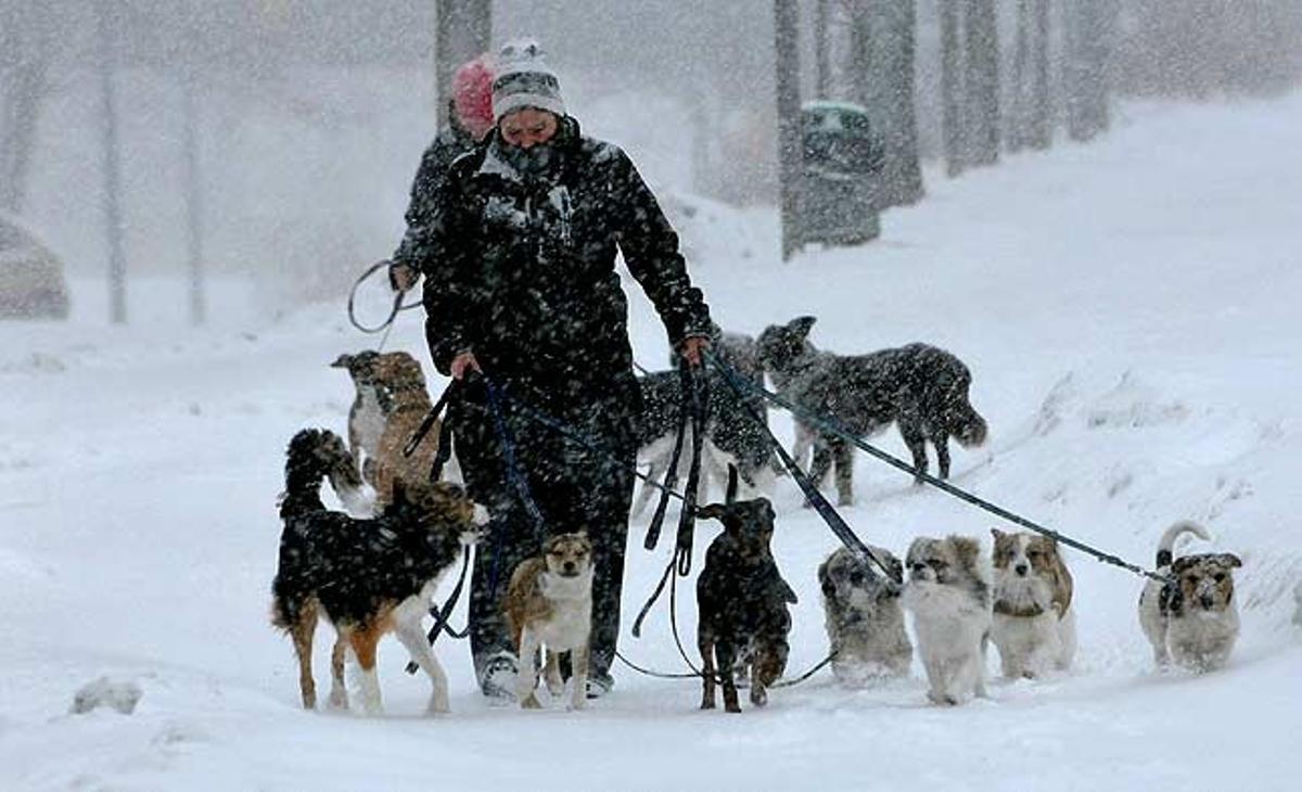 Dos passejadors de gossos caminen pel suburbi de Kista a Estocolm (Suècia).