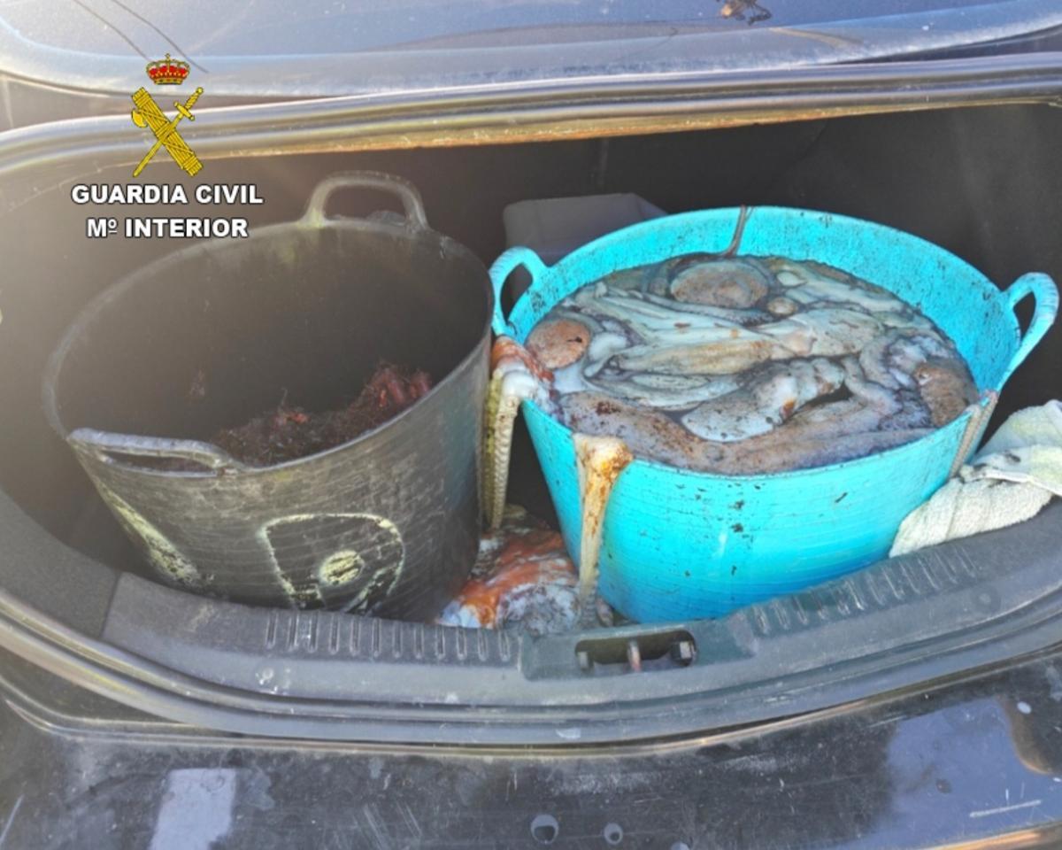 Los capazos con el pulpo y la centolla que se incautó la Guardia Civil en Bueu.
