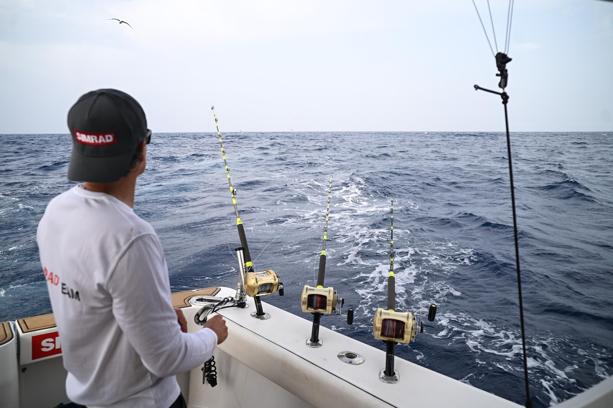 Un día a bordo del Artic pescando atunes rojos para marcarlos con GPS