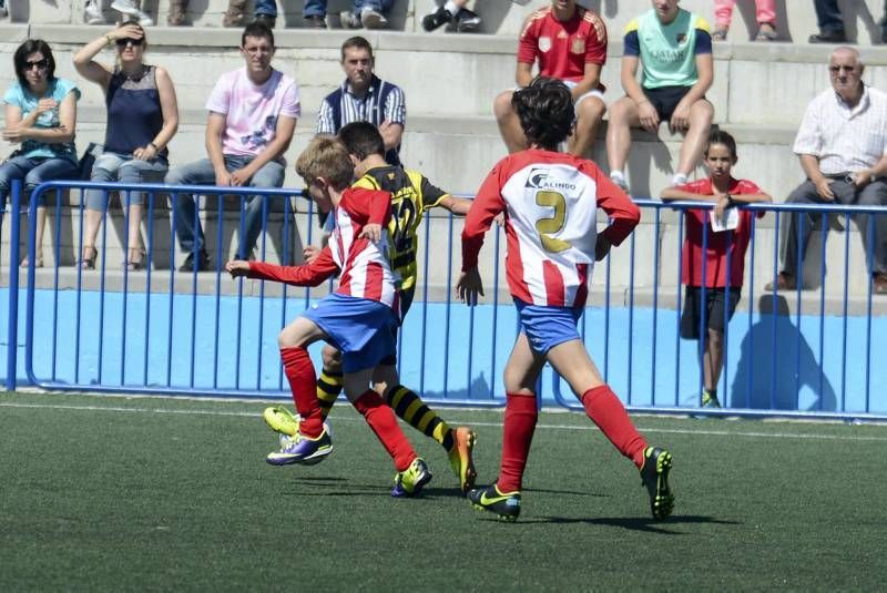 FÚTBOL: Tauste A - Teruel A (Alevín)