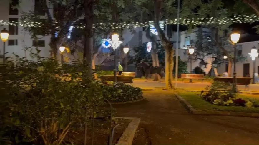 Un caballo hace footing por el centro de Icod