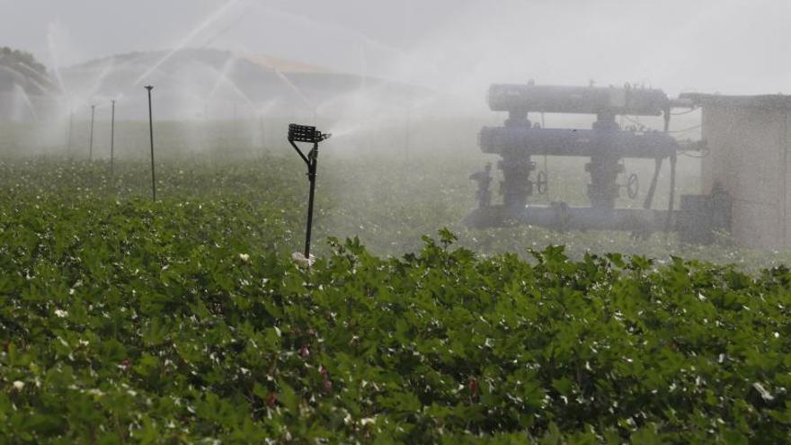 Agroalimentario, comercio, turismo o joyería apuestan cada vez más por los ODS.