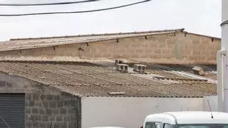 «En Ibiza hay muchísimas naves industriales sin regularizar»