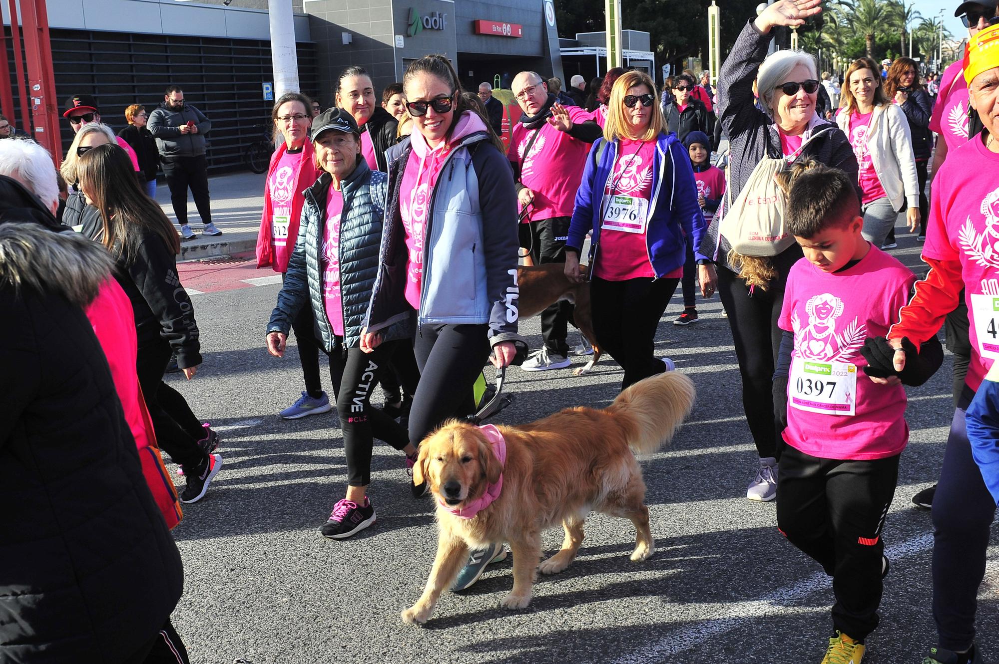 Más de 8.000 solidarios contra el cáncer de mama en Elche