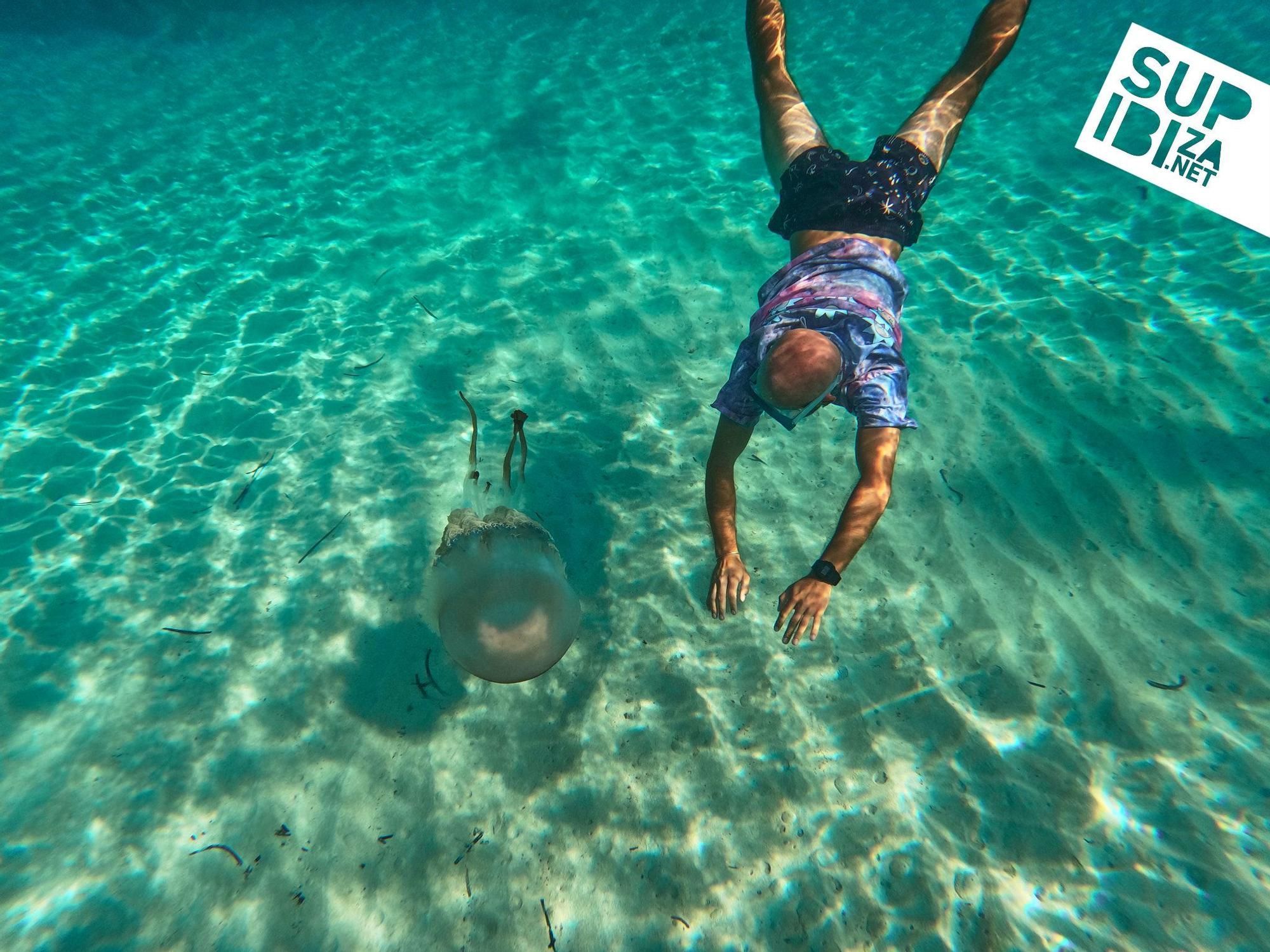 Tauchen mit Qualle - Bilder von Ibiza sorgen für Aufsehen