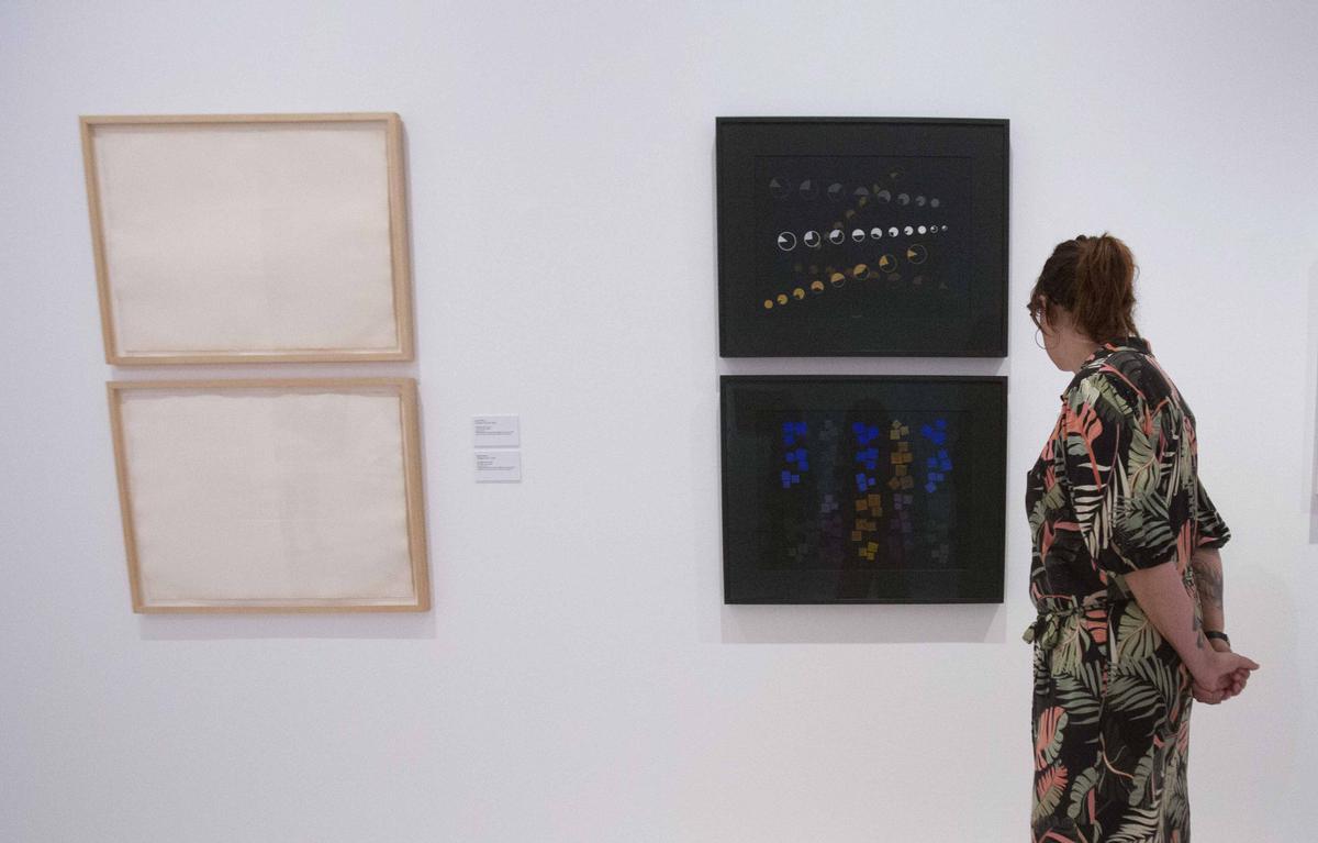 Exposición "Arte en una tierra baldía" en el MACA, con fondos del IVAM
