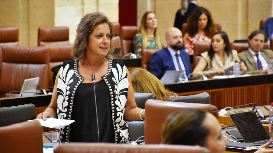 Anticorrupción pide la citación como testigo de la consejera Catalina García en la causa por los contratos de emergencia del SAS