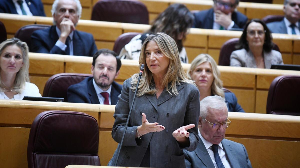 El PP llama a Cerdán a la comisión del Senado
