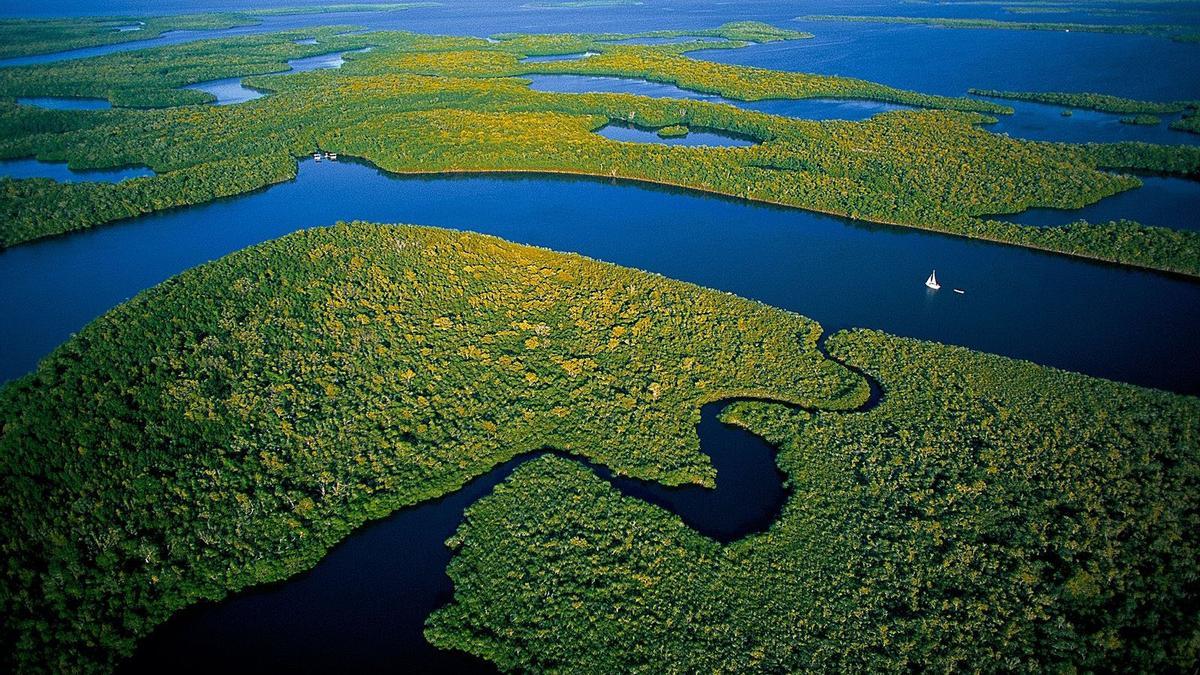 Vista de los Everglades (EEUU)