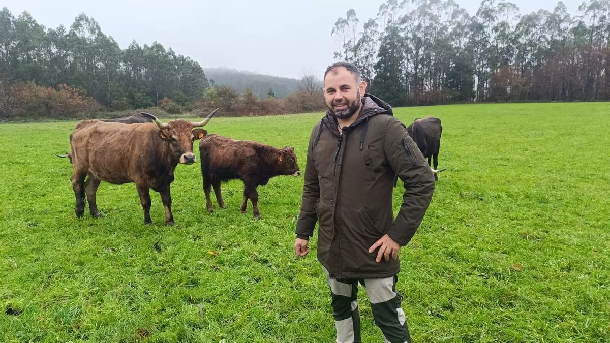 Jesús Pardal, gandeiro de vaca de raza limiá: «Aquí esquécense os problemas»