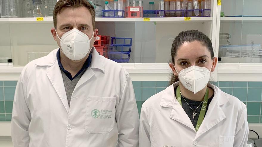 Investigadores valencianos descubren un biomaterial marino que destruye el SARS-CoV-2