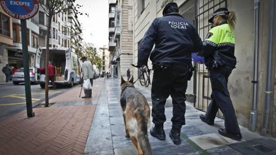 Un perro policía se suma al refuerzo  estival para luchar contra las drogas en Benidorm