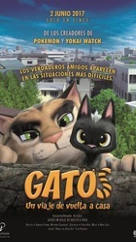 Gatos. Un viaje de vuelta a casa