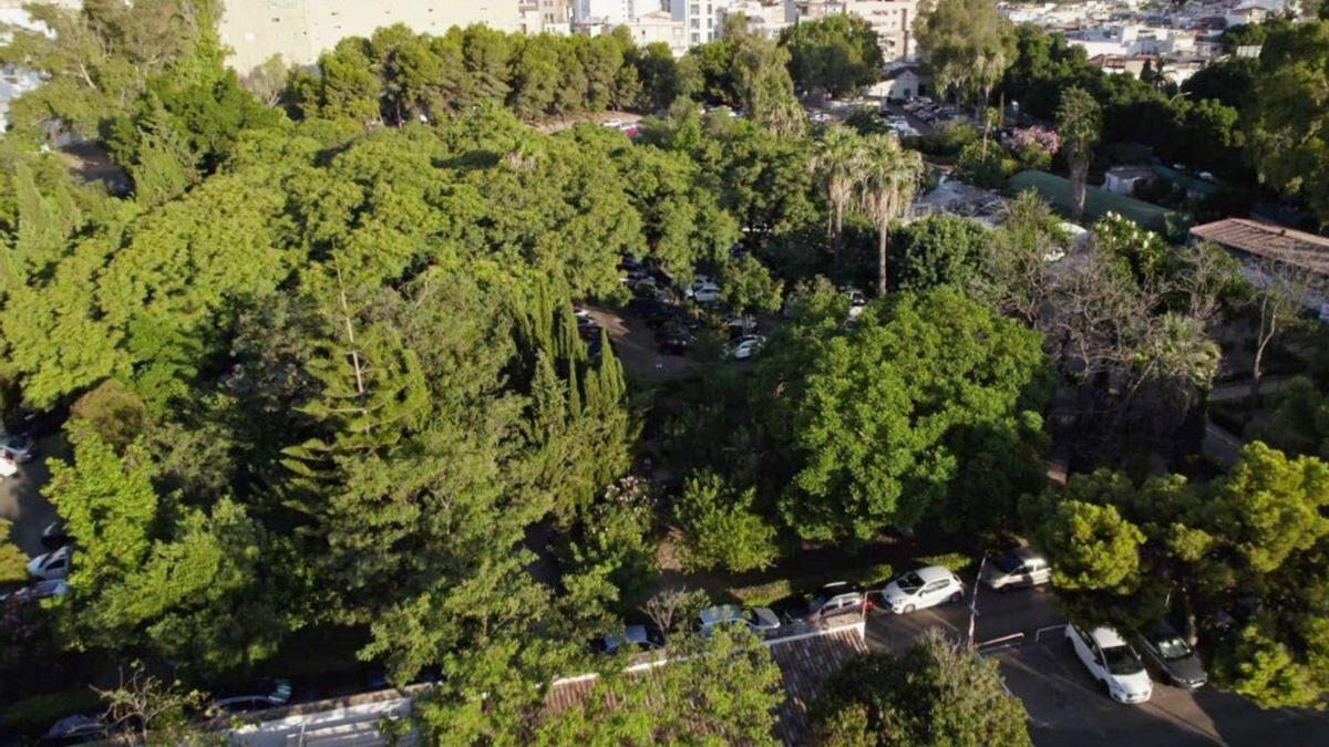 Vista parcial de la arboleda del Hospital Civil, que desaparecerá en buena parte con la construcción del tercer hospital.