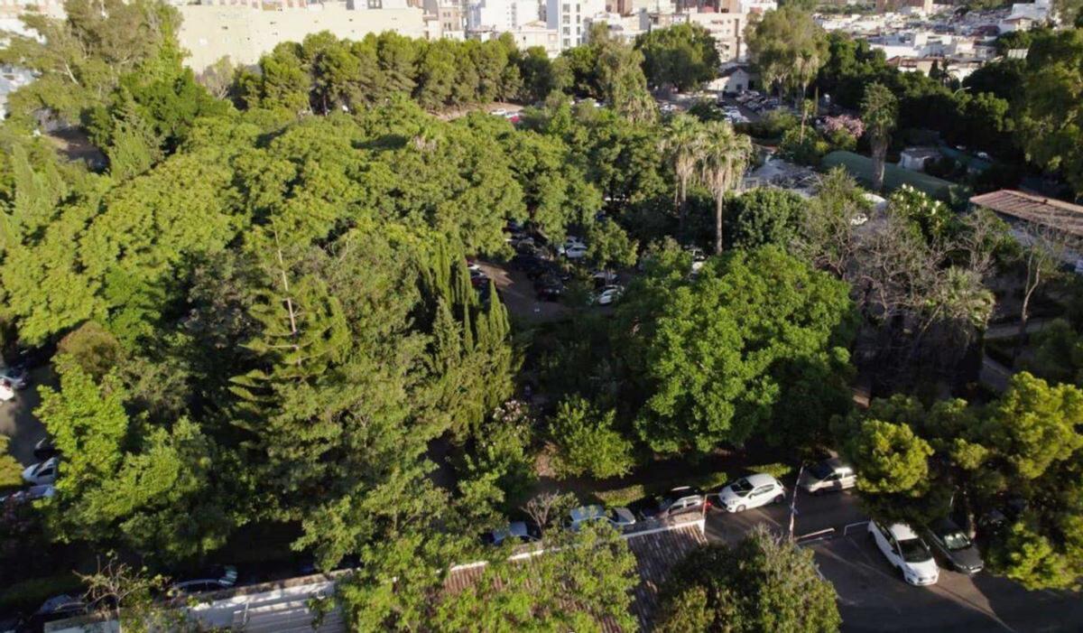 Vista parcial de la arboleda del Hospital Civil, que desaparecerá en buena parte con la construcción del tercer hospital. | LA OPINIÓN