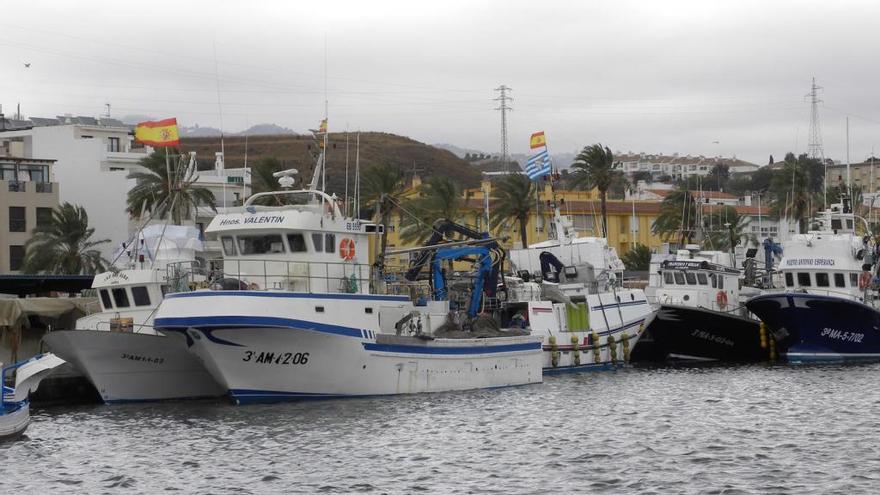 Barcos pesqueros amarrados a puerto en las instalaciones de Caleta de Vélez.