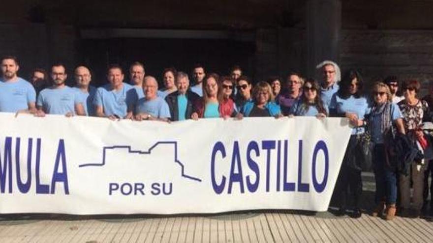 Espaldarazo de la Asamblea al Castillo de Mula