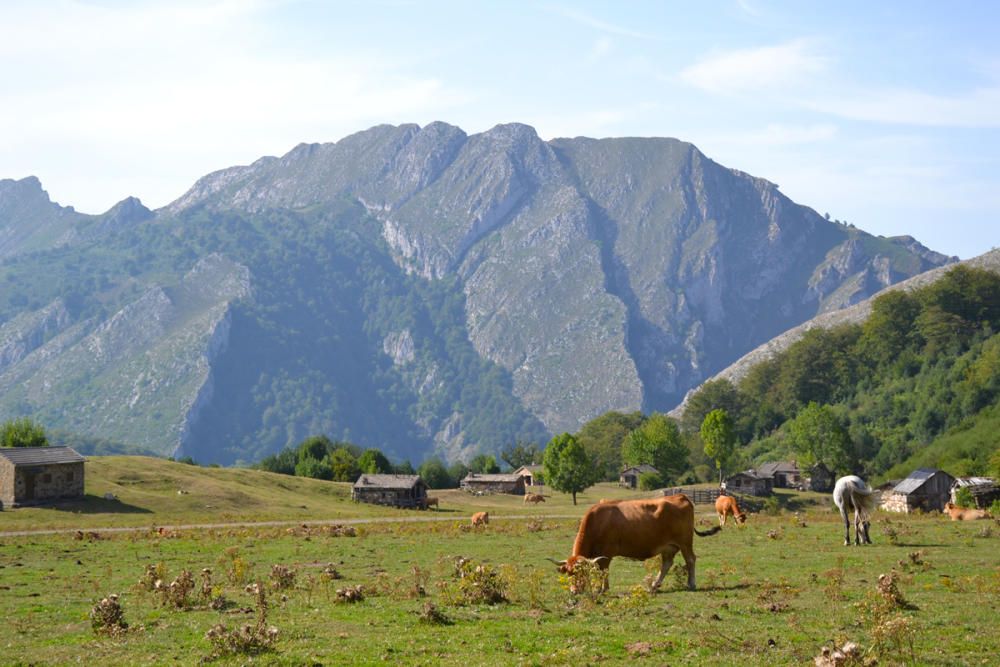 José Manuel Prado enseña el refugio de montaña de Brañagallones