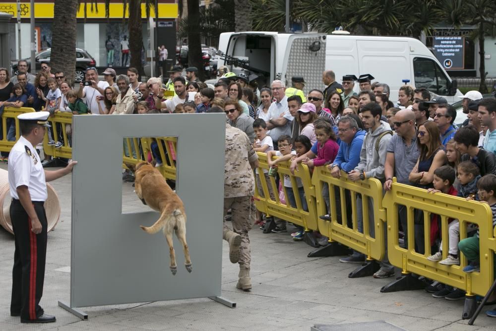 DÍA DE LAS FUERZAS ARMADAS