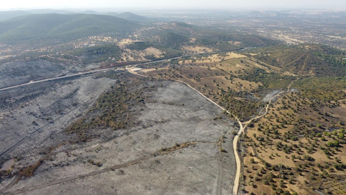 Vista aérea de la superficie quemada en el Calatraveño.