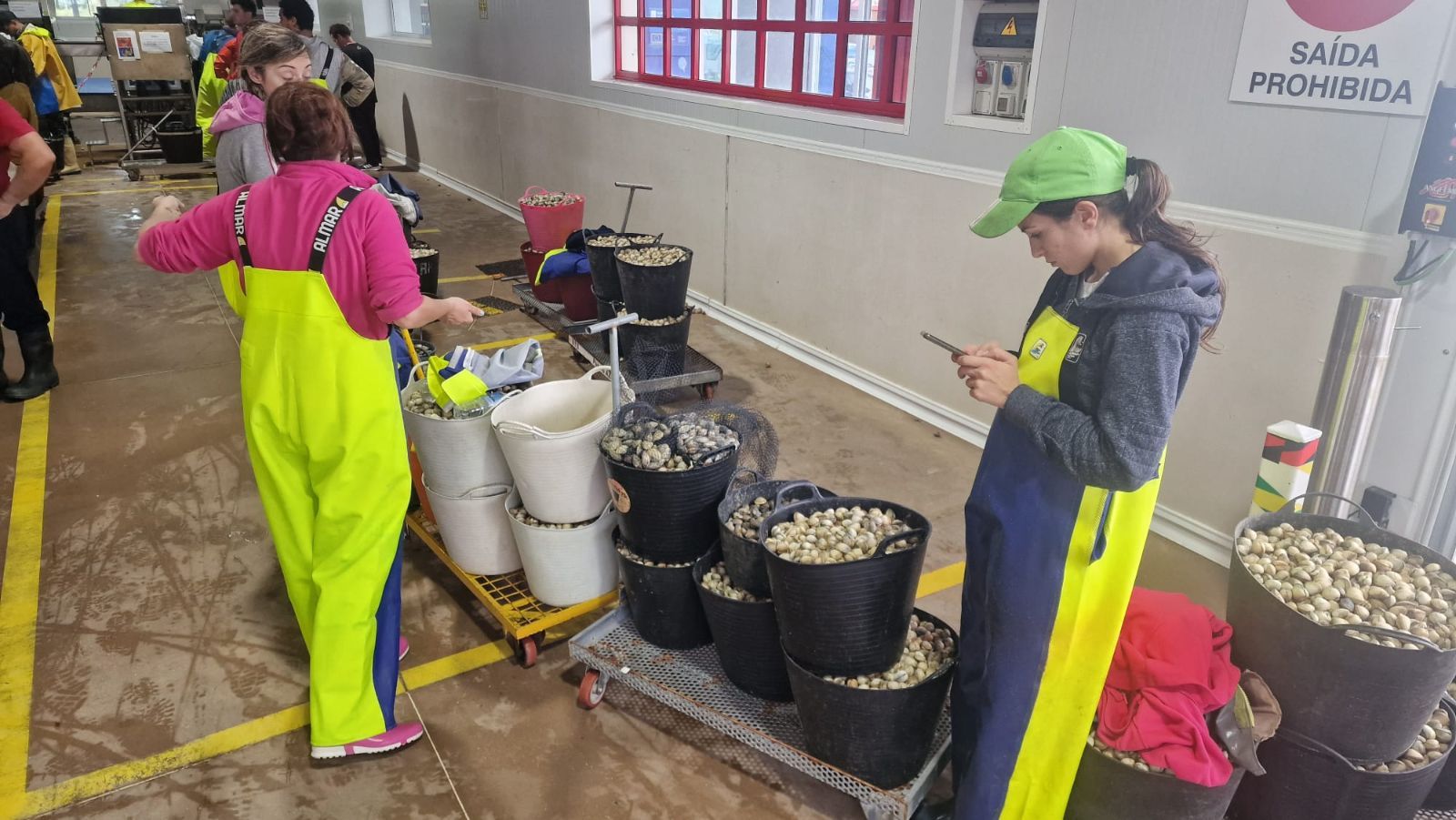 Así es el día a día en el puerto y la lonja de O Testal (Noia), donde cada vez se dan cita más mariscadores arousanos.