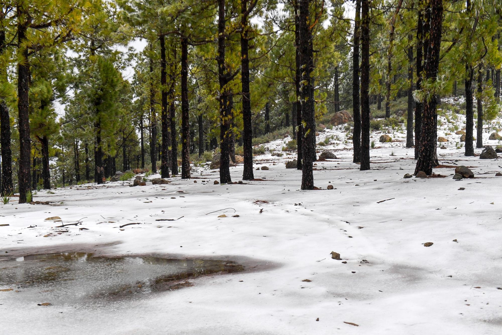 Nevada en Gran Canaria (16/02/23)