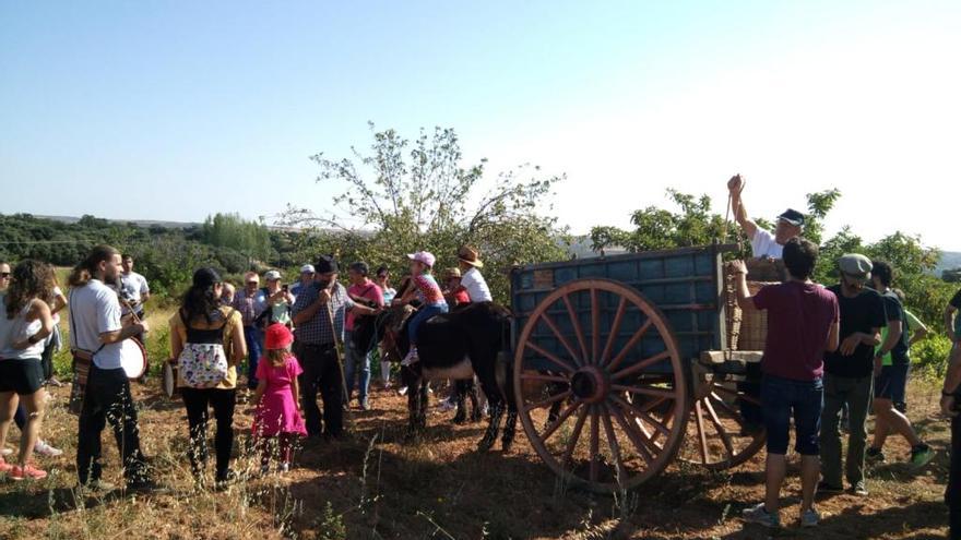 Villadepera celebra la vendimia