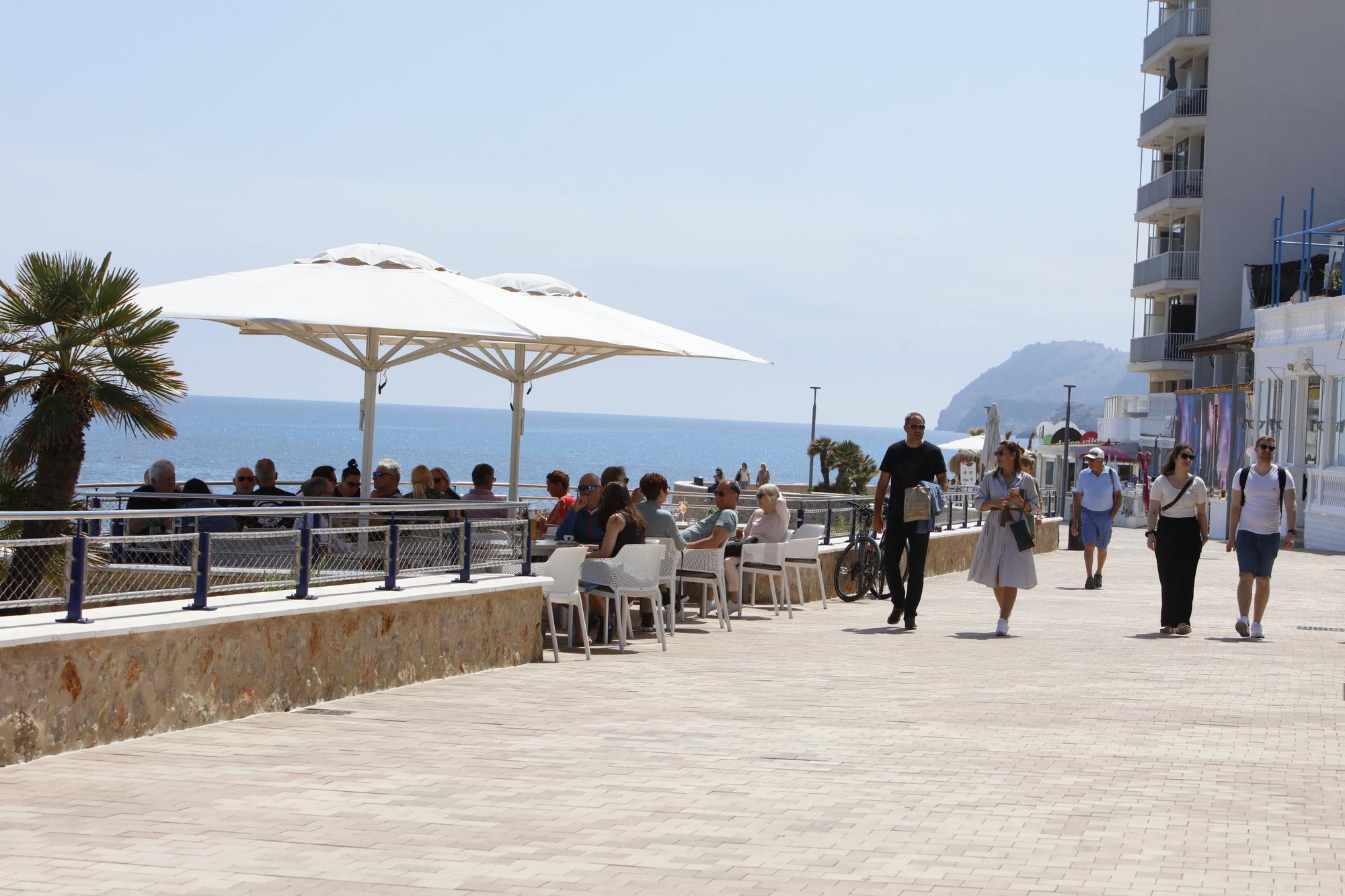 Frühlingsgefühle an der Promenade von Cala Ratjada