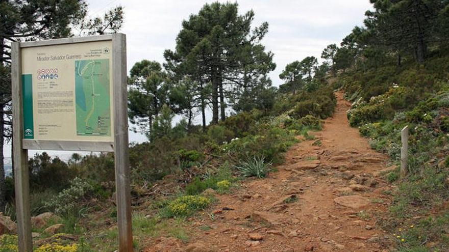 Los Reales de Sierra Bermeja