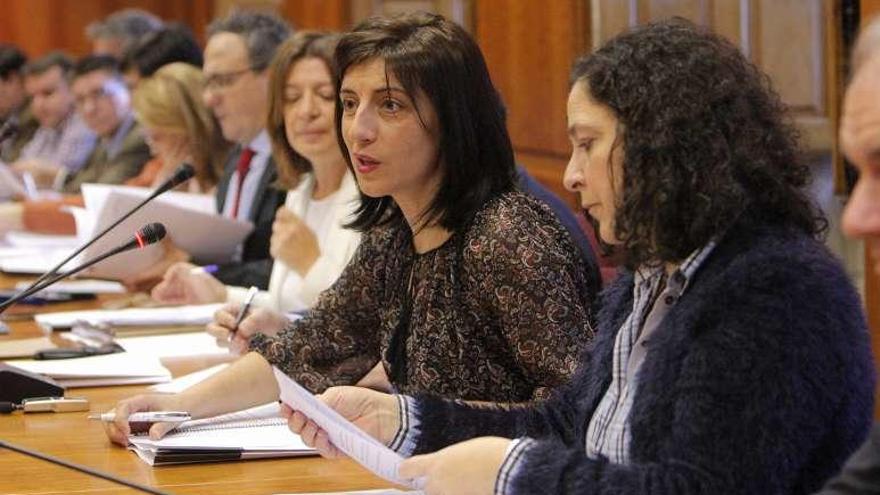 Ángeles Vázquez, ayer, en la reunión del Consello Forestal.