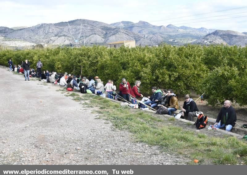 Romeria a la Magdalena 2016