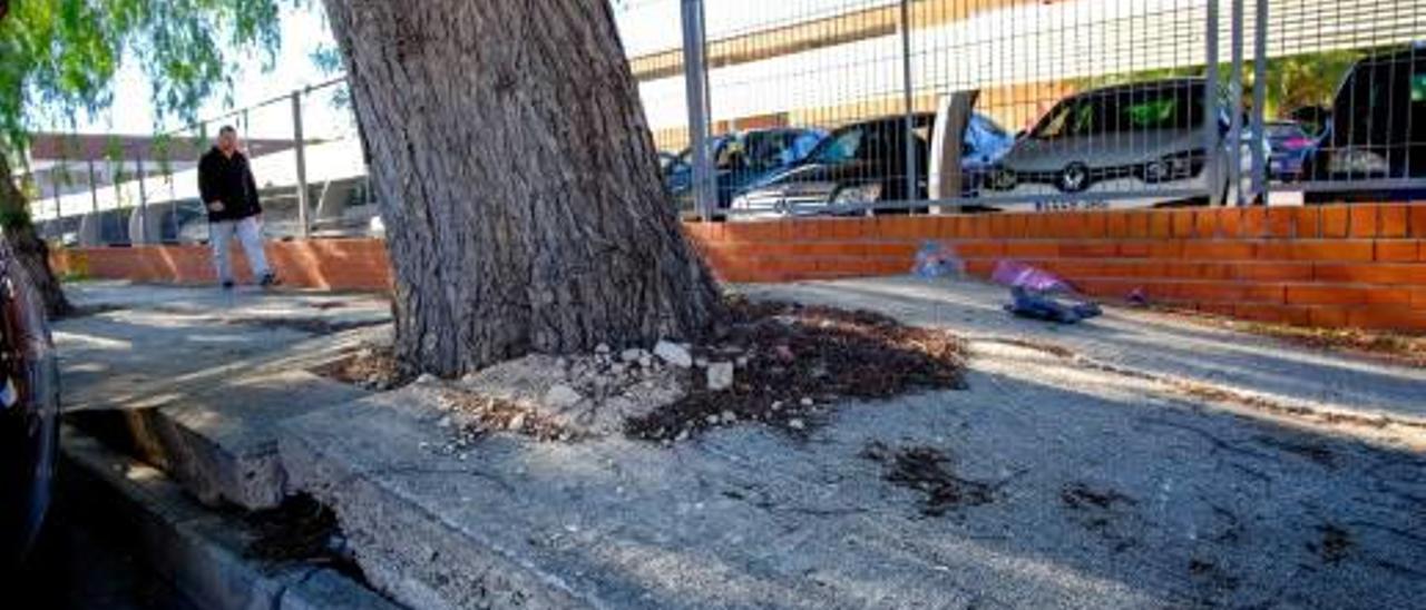 Desperfectos del polígono Campo Alto de Elda