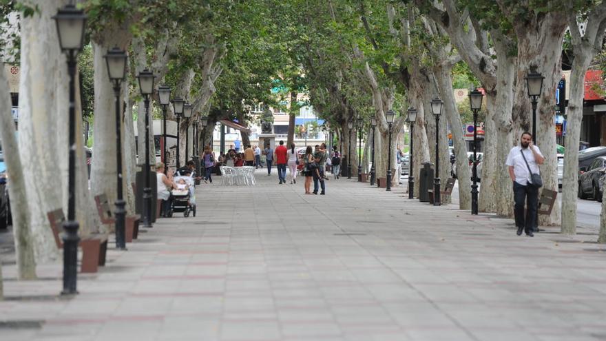 El Paseo de Alfonso X que quieren los arquitectos