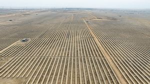 El parque se ubica en un inmenso desierto salado