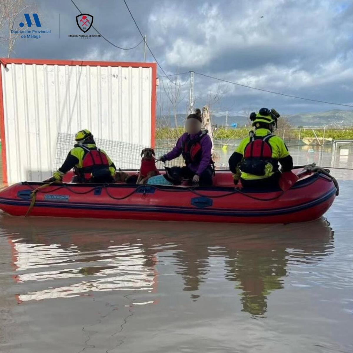 Rescate en el refugio de animales de Coín