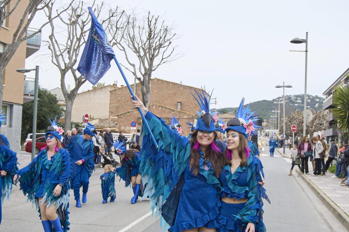 La rua del Carnaval de Santa Cristina d'Aro en imatges La rua del Carnaval de Santa Cristina d'Aro en imatges